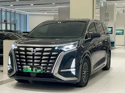 Denza Denza D9
