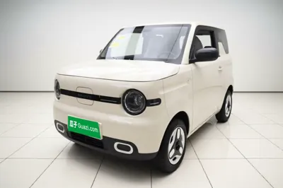 Geely Galaxy Panda