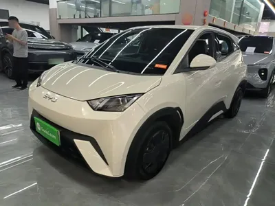 BYD Seagull