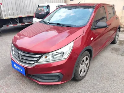 Baojun 310