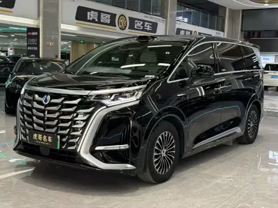 Denza Denza D9