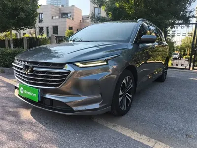 Wuling Victory
