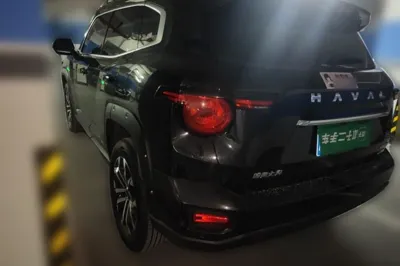 Haval H Dog