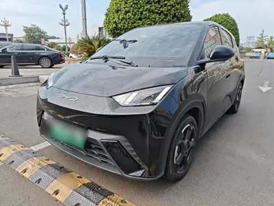 BYD Seagull
