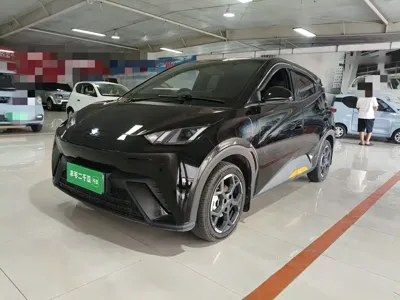 BYD Seagull