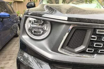 Haval H Dog