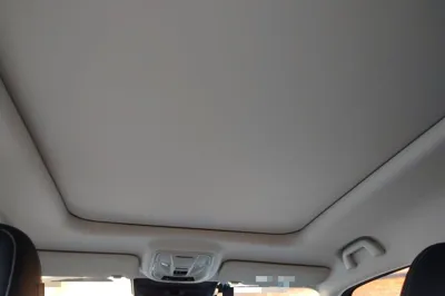 Haval H Dog