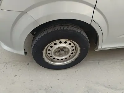 Foton Maverick E