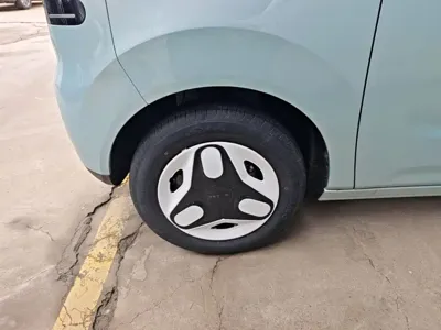 Galaxy Panda