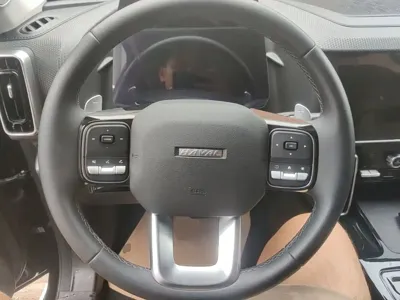 Haval Big Dog