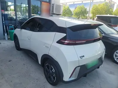 BYD Seagull