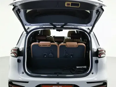 BYD Tang New Energy
