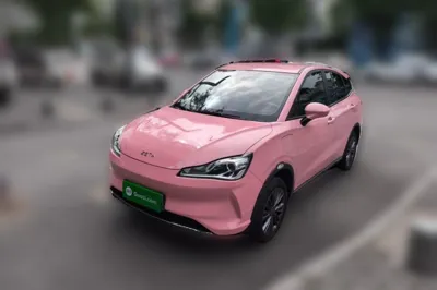 NETA V