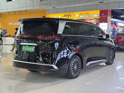 Denza Denza D9