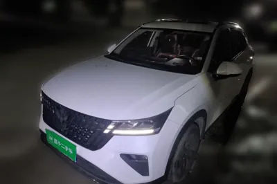 Wuling Alvez