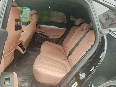 BYD L EV