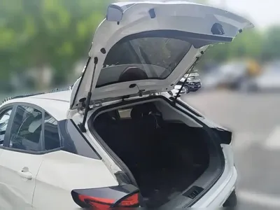 NETA Neta V