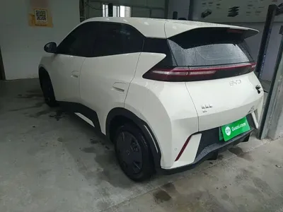 BYD Seagull
