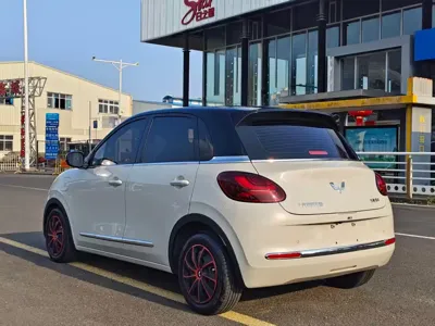 Wuling Bingo