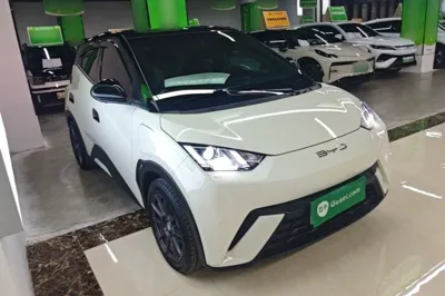 BYD Seagull