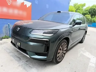 Denza 腾势N9