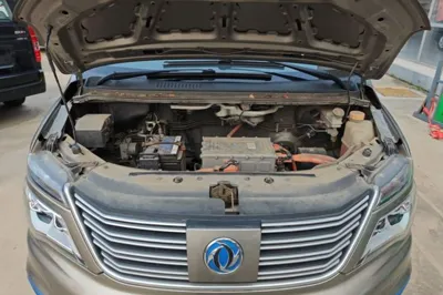 Forthing Lingzhi M5