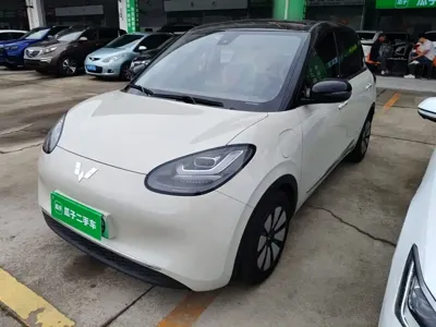 Wuling Bingo