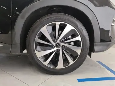 BYD PLUS New Energy