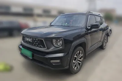 Haval H Dog