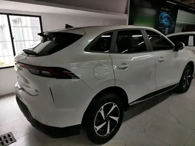 Fengxing Fengxing Leiting