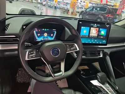 BYD Pro New Energy