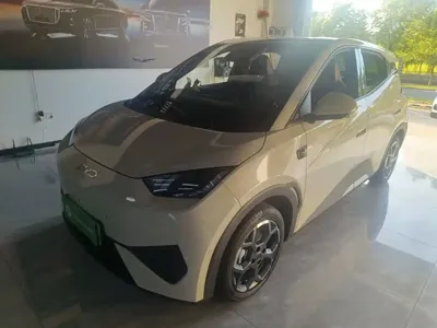 BYD Seagull