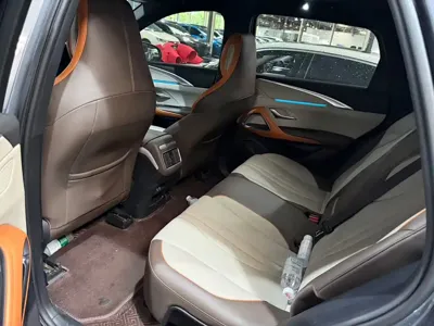 BYD Pro New Energy