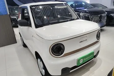 Geely Galaxy Panda