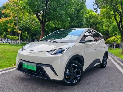 BYD Seagull