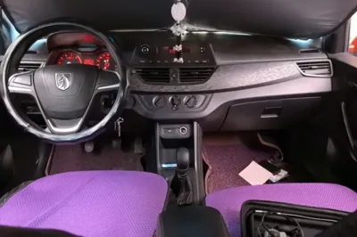 Baojun 310