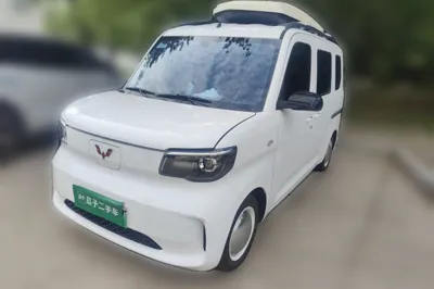 Wuling Zhiguang New Energy