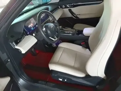 Leapmotor Leapmotor S01