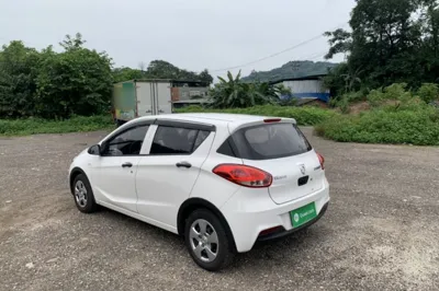 Baojun 310