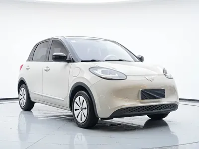 Wuling Bingo