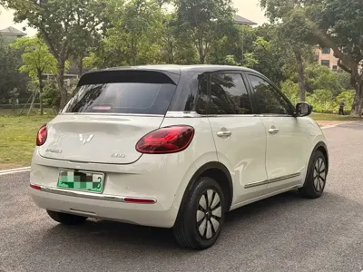 Wuling Bingo