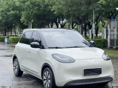 Wuling Bingo