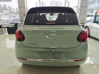 Wuling Bingo
