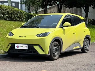 BYD Seagull