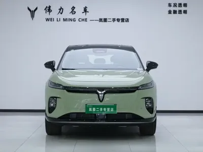 Voyah Zhiyin