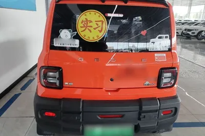 Geely Galaxy Panda