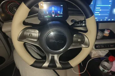 BYD Dolphin