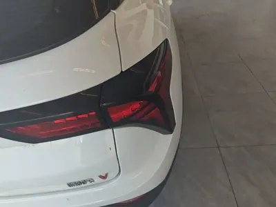 NETA Neta V