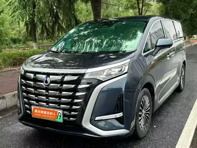 Denza Denza D9
