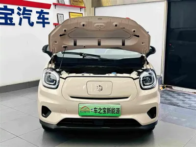 Leapmotor Leapmotor T03